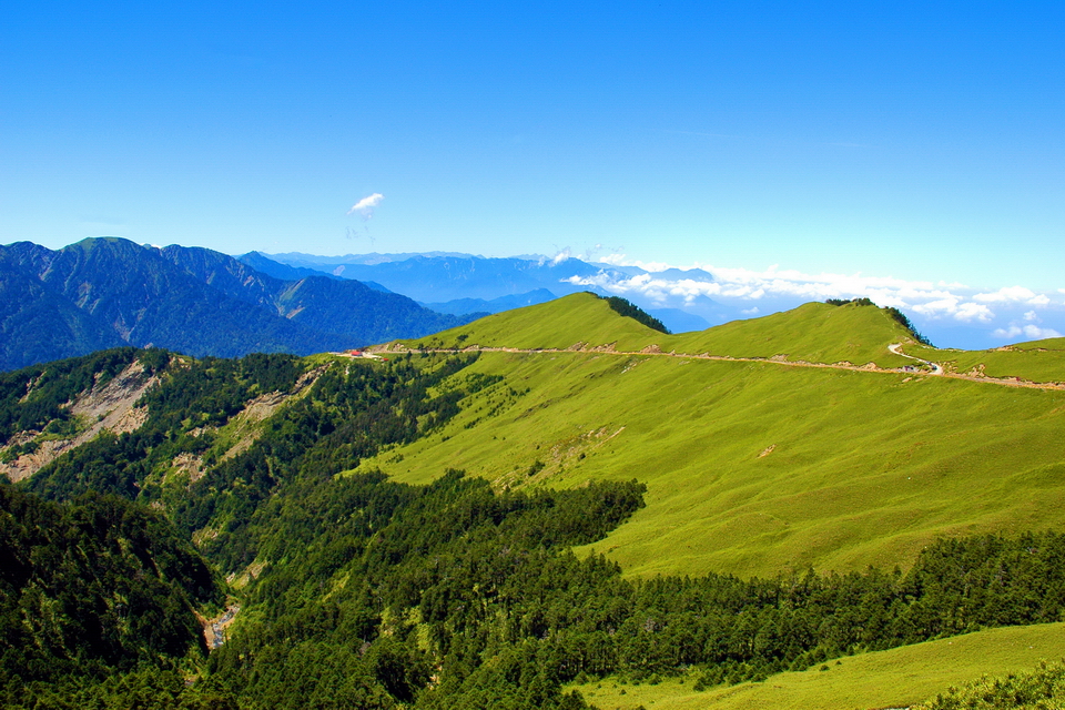 合歡山森林遊樂區 合歡山森林遊樂區