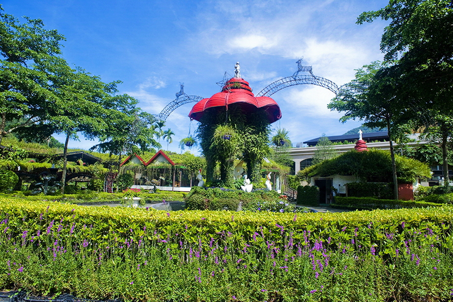 埔里台一生態休閒農場(楓樺台一渡假村) 埔里台一生態休閒農場(楓樺台一渡假村)