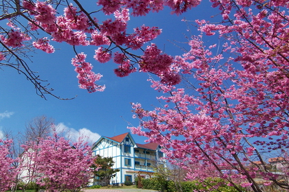 清境寞內花園山莊