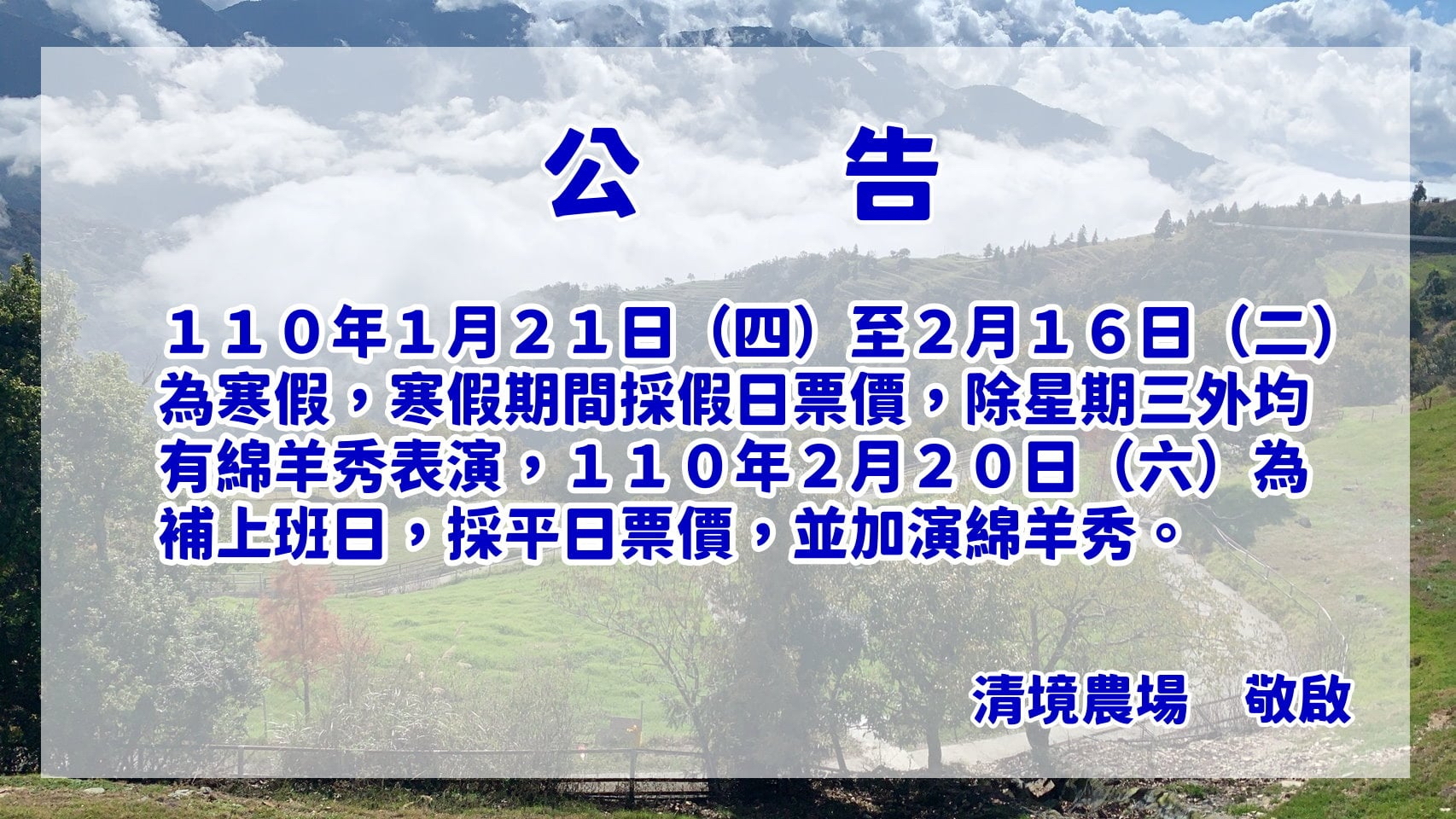 清境農場110年寒假綿羊秀公告 清境農場110年寒假綿羊秀公告